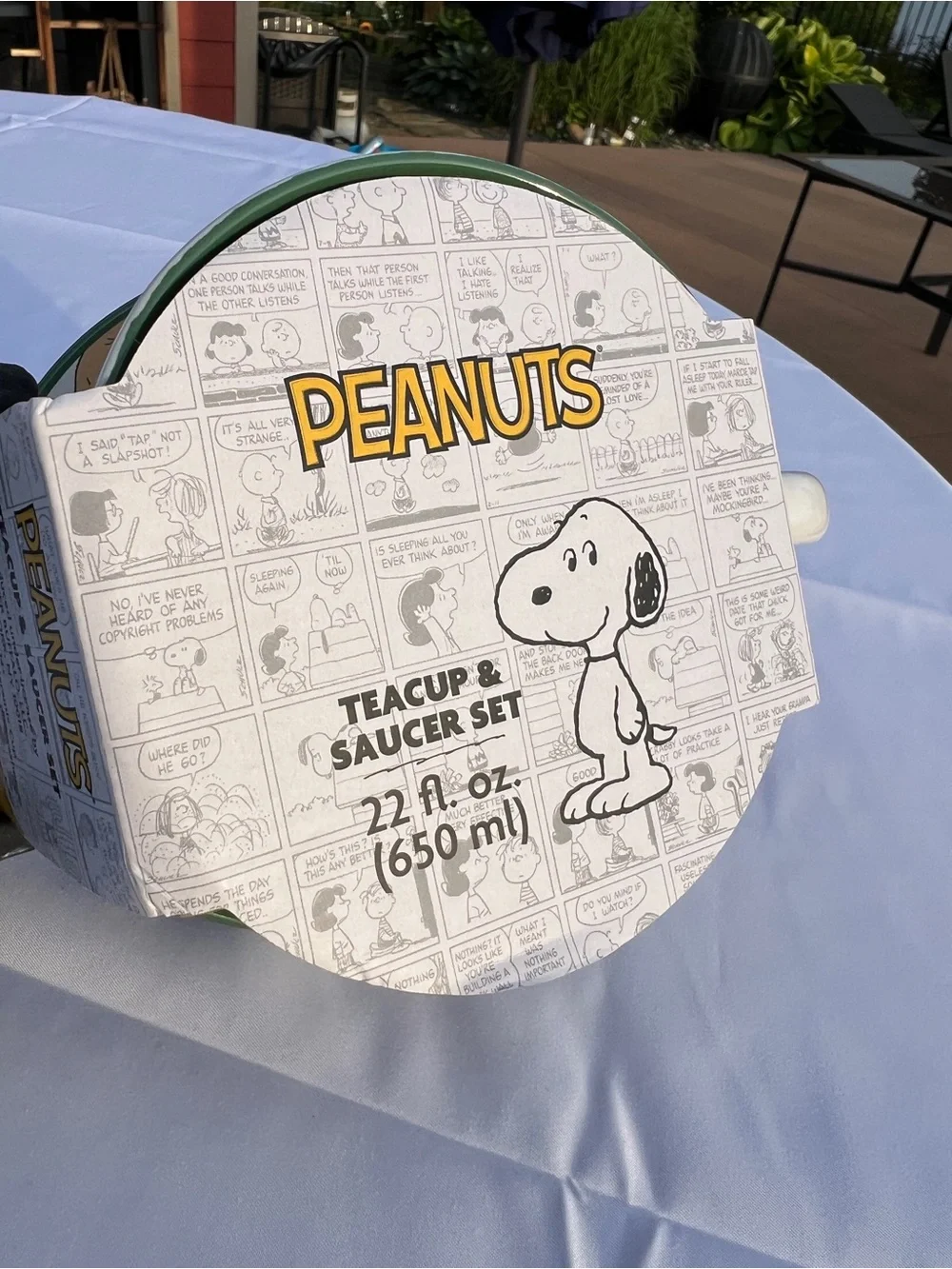 Snoopy's Bakery and Cafe Ceramic Mug and Saucer Set - White with Green Trim